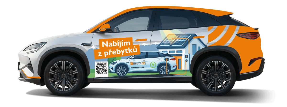 neota-byd-sealion_03-auto