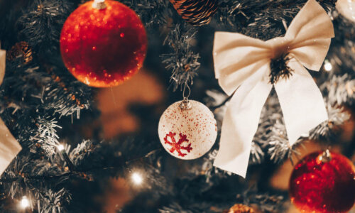 Vánoční provoz 2025/2026