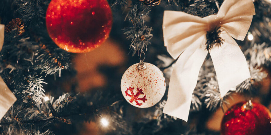 Vánoční provoz 2025/2026