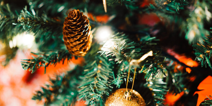 Provoz o Vánocích 2024